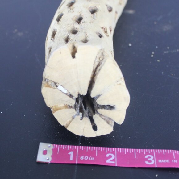 Cholla Wood Cactus Skeleton Aquarium Terrarium Decoration Clean  13" L 2" W - Picture 5 of 10